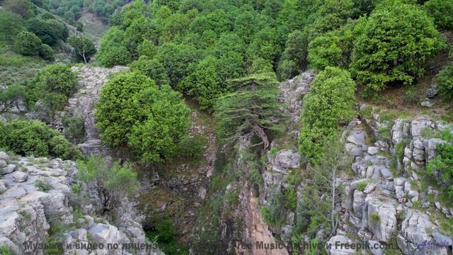 Этот ручей поёт ПРОКЛЯТУЮ песню! - Memoria (Mythic Mix) -- AKMV-18 -- Damnatio Memoriae EP