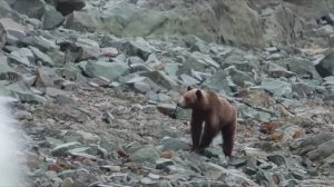 Колыма. Музыка Сергея Чекалина