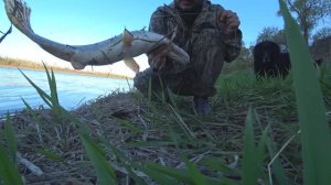 Рыбалка на резинку в Новом месте на Дону