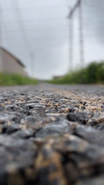 Закрутилось колесо! Вот и работай теперь