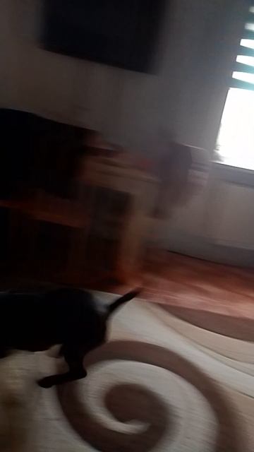 юна забежала от меня