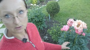 Видео привет с 6 соток 17 июня 2025 года