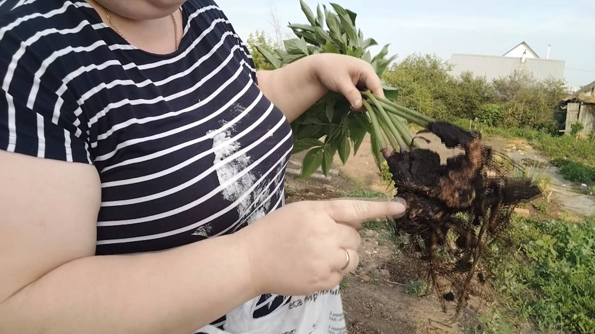 ПРОСТАЯ ЖИЗНЬ 45// КУПИЛА ЦВЕТЫ //ЖДУ ЧТО ИСПОЛНИТСЯ МОЕ ЖЕЛАНИЕ!ЖИЗНЬ В НЕБОЛЬШОМ ГОРОДКЕ смотреть онлайн