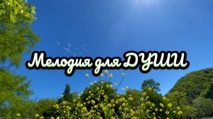 Красивая инструментальная музыка, Мелодия для души