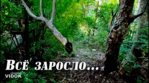 БОЛЬШАЯ ПРОГУЛКА ПО КЛАДБИЩУ  😬 ЗАБРОШЕННЫЕ МОГИЛЫ (ЗАРОСШИЕ) захоронения   июнь 2025