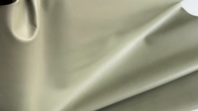 Олива гладкая