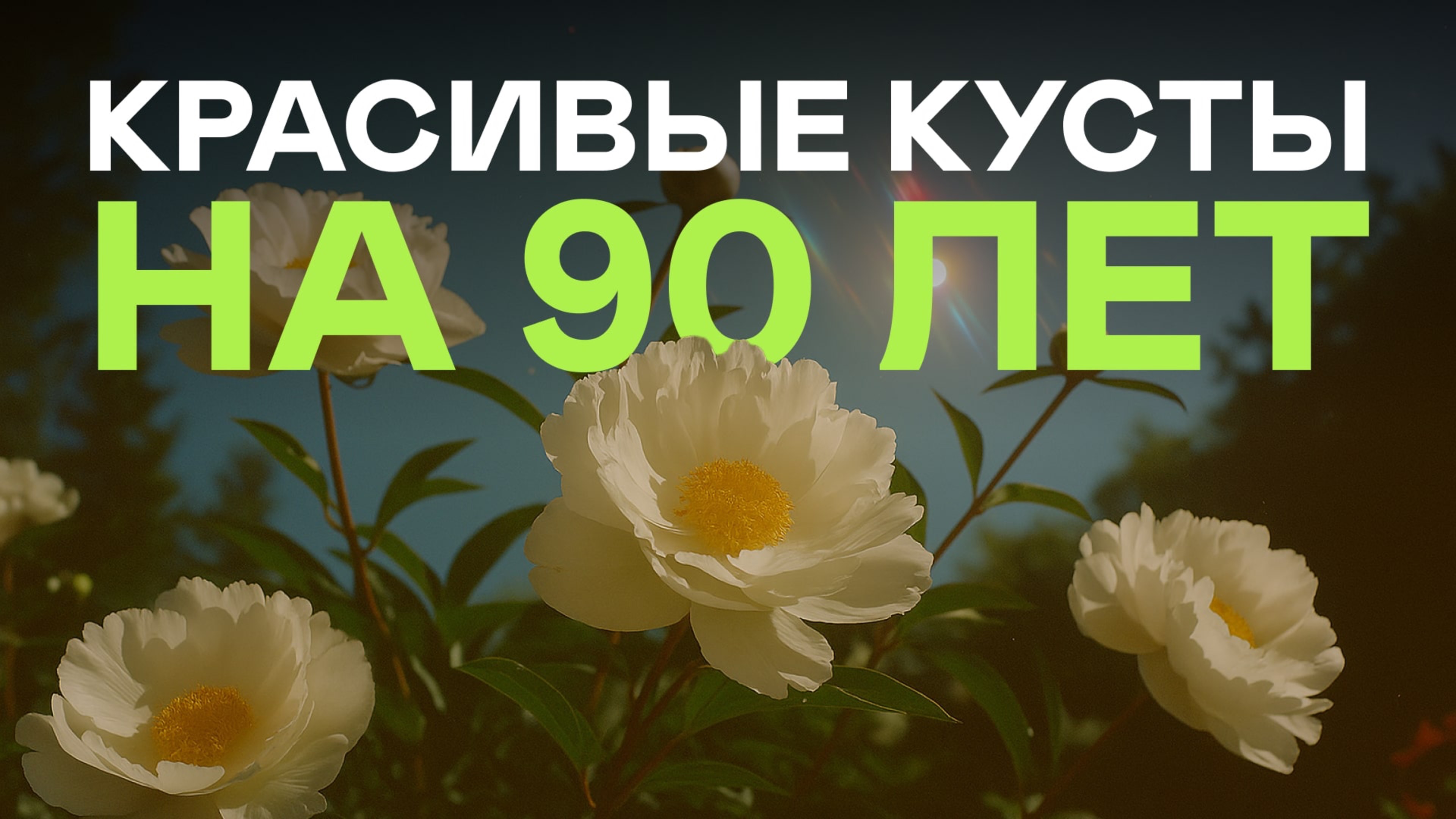 Не Верила! Но Эти Кусты ПРАВДА Цветут Как Сумасшедшие По 100 лет! смотреть онлайн