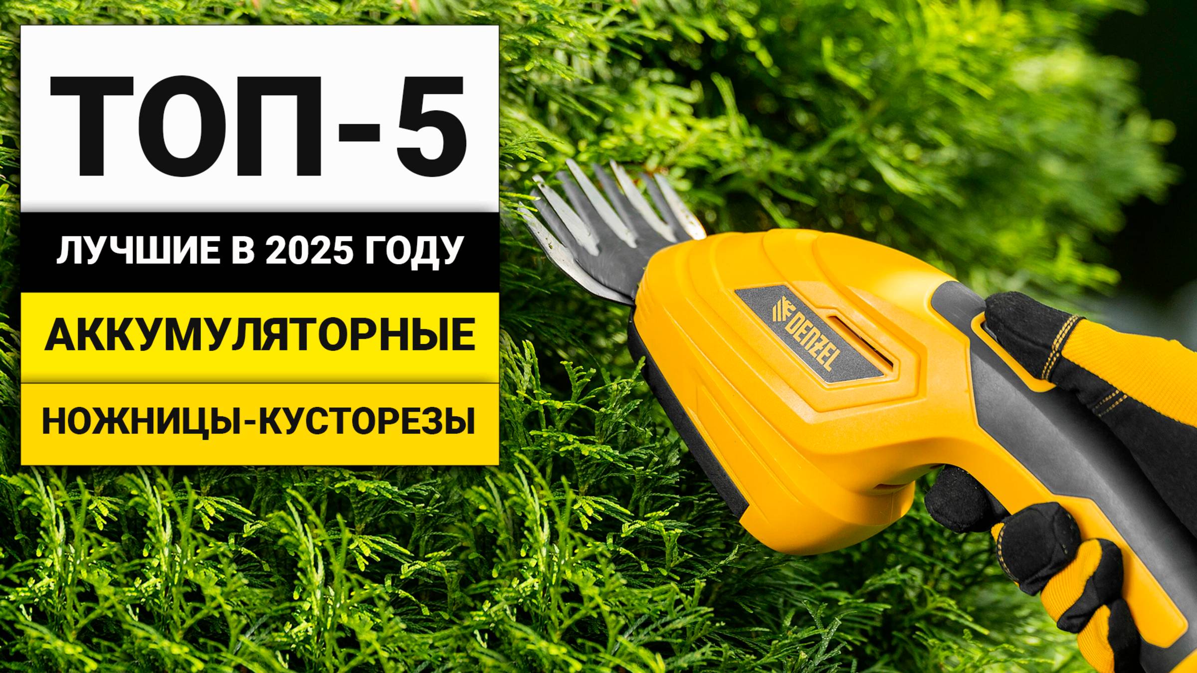 Лучшие аккумуляторные ножницы-кусторезы | ТОП-5 в 2025 году смотреть онлайн