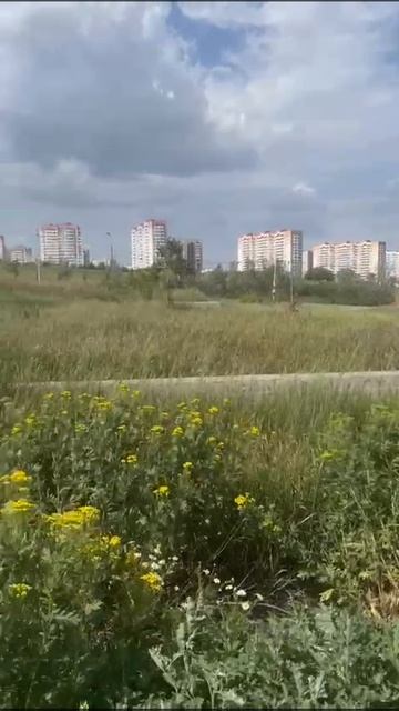 7853331 смотреть онлайн