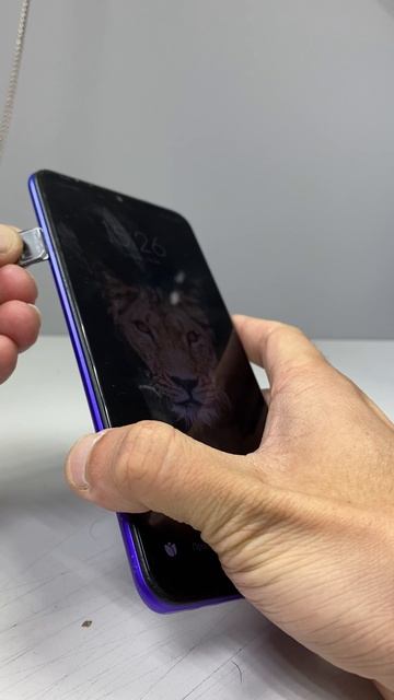 19-06-2025 смотреть онлайн