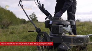 Колесный триммер Caiman Trimo 60