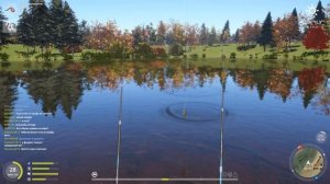 рр4 лосиное оз.