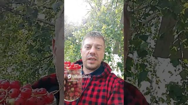 Как покорить сердце любой девушки... смотреть онлайн