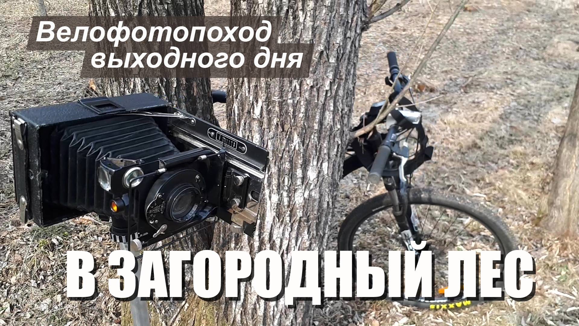 Велофотопоход выходного дня в загородный лес