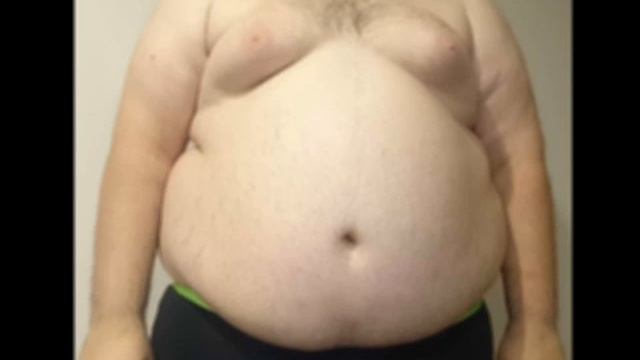 Толстопузы