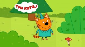 ТРИ КОТА - ЛЕСНАЯ ПРОГУЛКА КОМПОТА | ТРИ КОТА МУЛЬТФИЛЬМ | СМОТРЕТЬ ТРИ КОТА | ТРИ КОТА ОНЛАЙН
