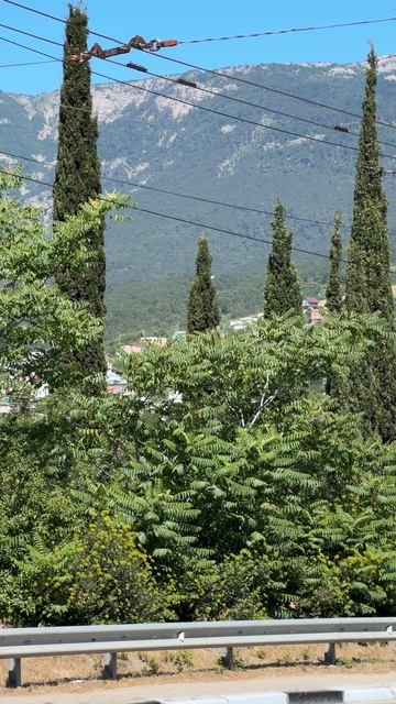 Виды в Ялте на миллион #ялта #ялтакрым #ялта2025 смотреть онлайн