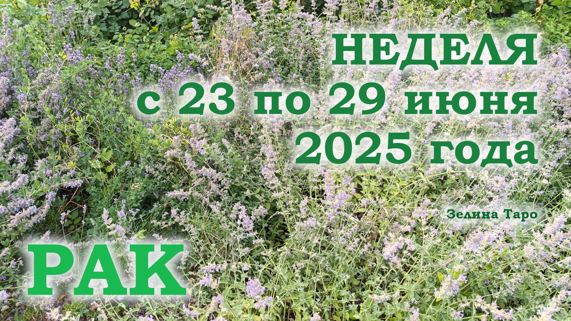 РАК | ТАРО прогноз на неделю с 23 по 29 июня 2025 года