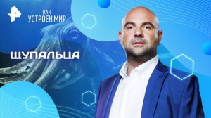 Щупальца — Как устроен мир с Тимофеем Баженовым	(20.06.2025)