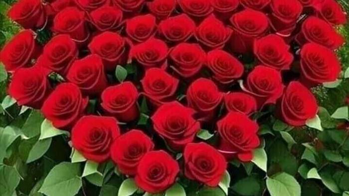 С ДНЕМ  РОЖДЕНИЯ РОЗАЛИНЬКА!.