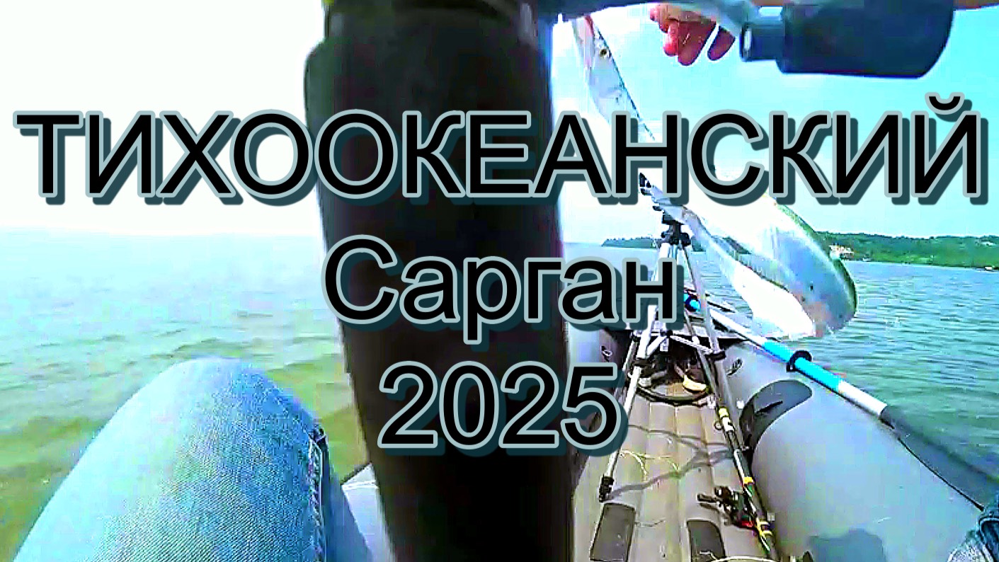 Сарган 2025 во Владивостоке