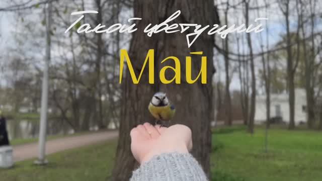 Такой цветущий май. Алексеевский сад, распаковка от бренда. смотреть онлайн