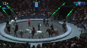 Большой Московский цирк: как готовятся номера