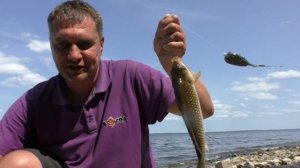 ЛОВЛЯ КАРАСЯ НА ФЛЭТ МЕТОД. НЕТ НИЧЕГО ПРОЩЕ