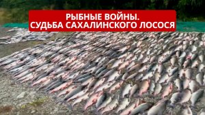 СПЕЦРЕП. Рыбные войны: патрули против браконьеров на Сахалине