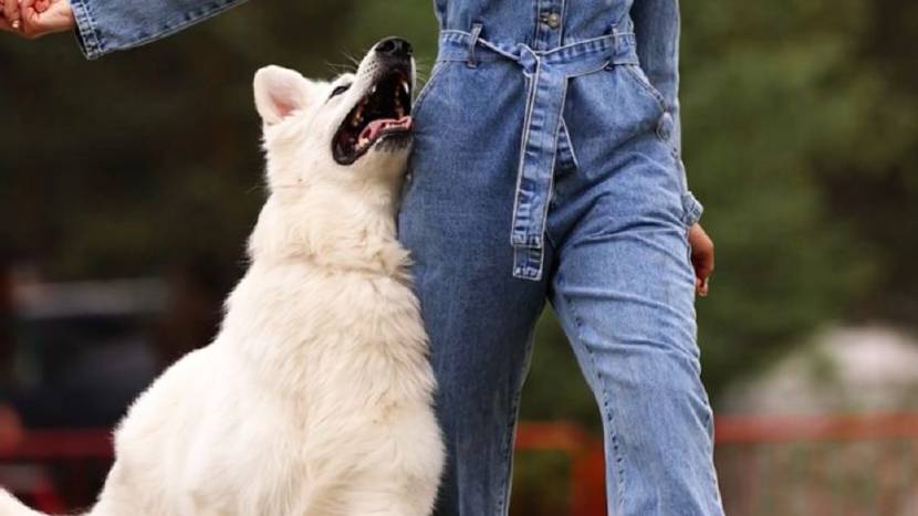 Выступление URA-GUN IZBB и Полина Ильина