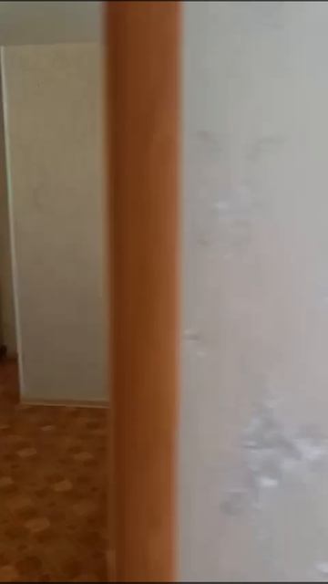 8001160 смотреть онлайн