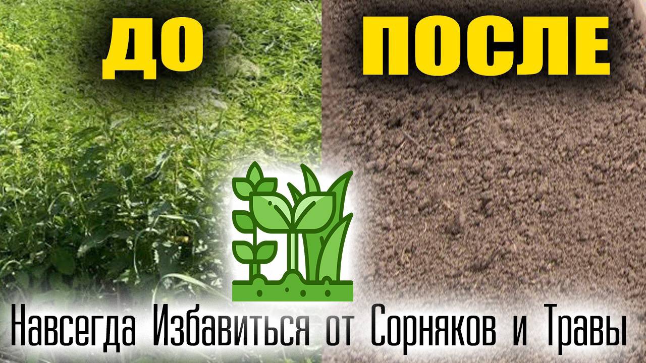 Как Навсегда Избавиться от Сорняков и Травы на участке смотреть онлайн