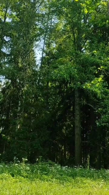 (35) Библия Евангелие от Иоанна глава 8 стих 41-50 смотреть онлайн