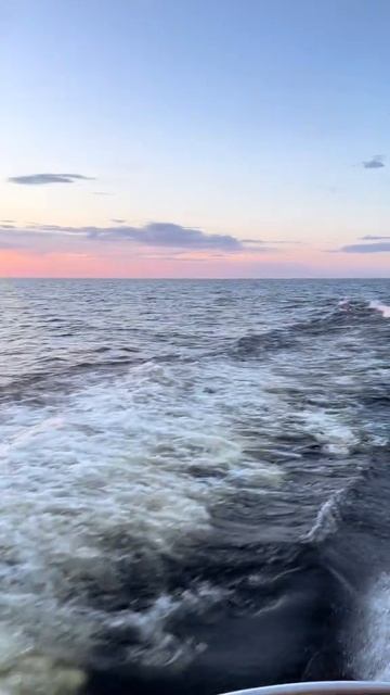 🇷🇺🌏❤️ смотреть онлайн