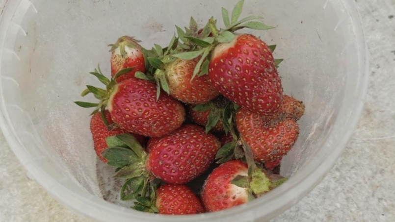 20-06-2025💥Влог💥пятница смотреть онлайн