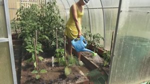 6 соток 18 июня 2025 года. 1 часть