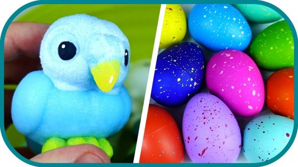 ЯЙЦА ПТИЦ. Кто вылупится? Сюрпризы от Сбабам. Удивительные эксперименты.