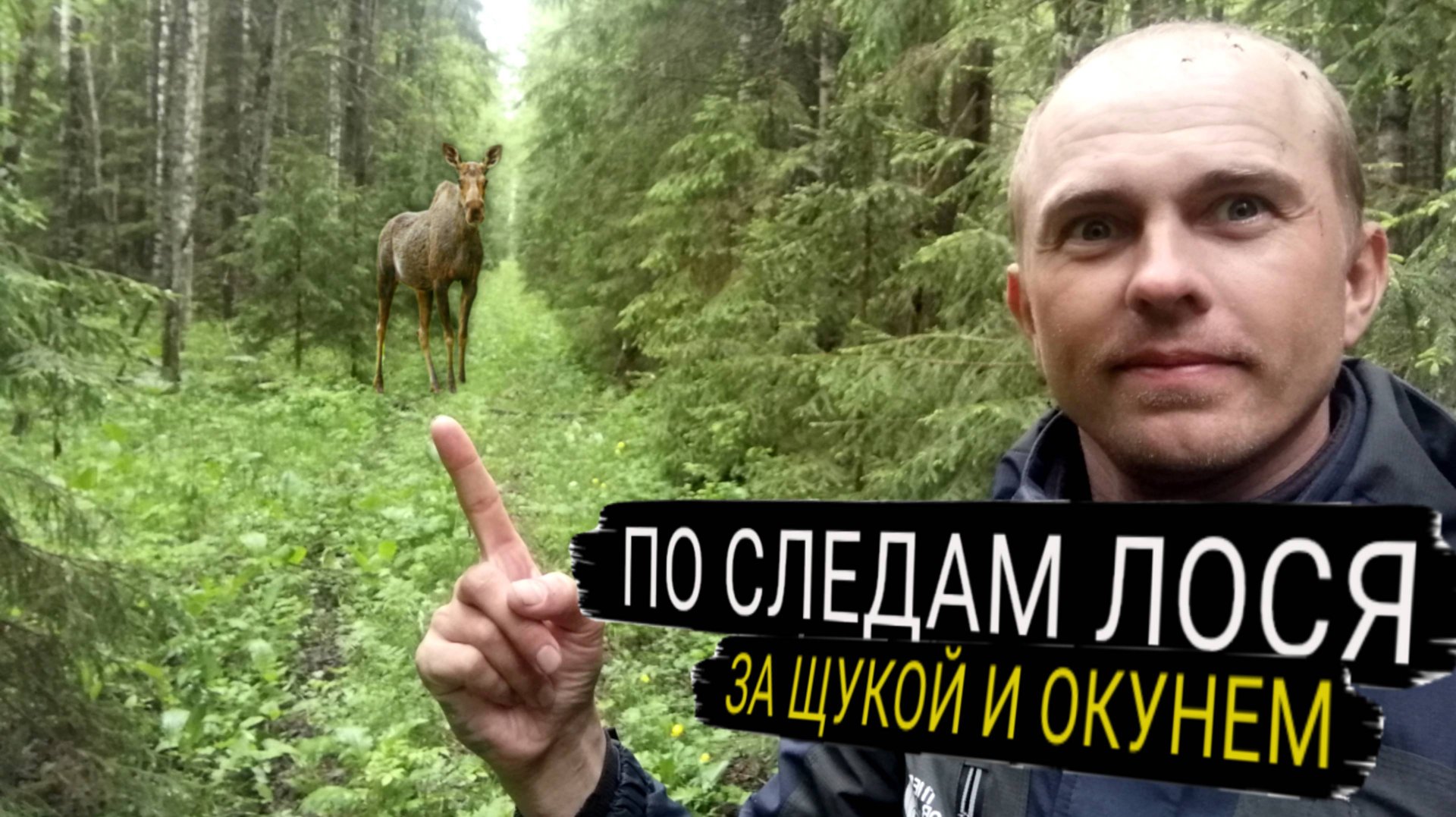 На рыбалку в след за лосем. Одна блесна на всю рыбу. смотреть онлайн