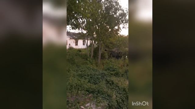 InShot_20250620_103337820.mp4