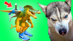 ЧТО БУДЕТ ЕСЛИ СКРЕСТИТЬ ИТАЛЬЯНСКИХ МЕМОВ Хаски Бандит Говорящая собака