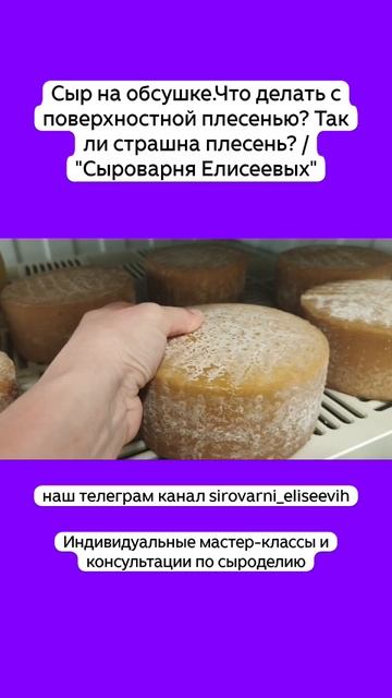 Сыр на обсушке.Что делать с поверхностной плесенью? Так ли страшна плесень? / "Сыроварня Елисеевых" смотреть онлайн