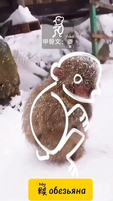 Ключи- животные смотреть онлайн