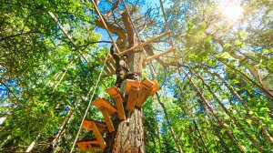 Построил ДОМ МЕЧТЫ на ДЕРЕВЕ с ОТОПЛЕНИЕМ И ТЕРРАСОЙ своими РУКАМИ в ЛЕСУ - БОЛЬШОЙ ФИЛЬМ | Лесные