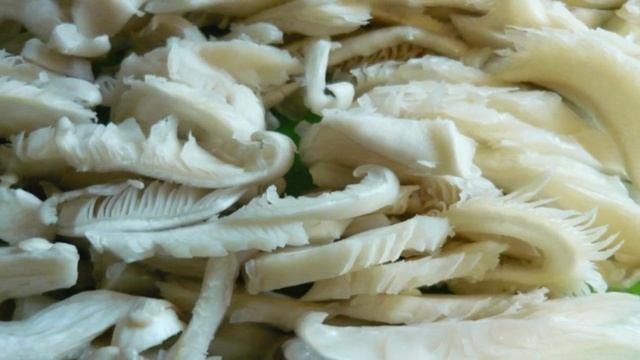 Сборник рецептов