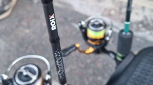 Первый взгляд на Roix Spotty