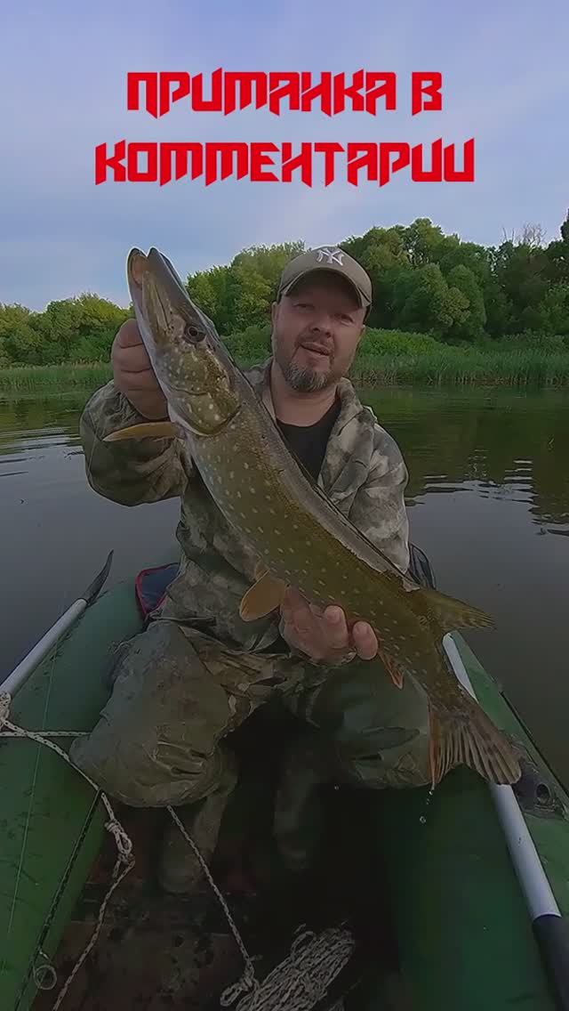 Дешманский воблер, на который клюёт любая щука с меляка!💪👍💥 #рыбалка #ловлящуки #воблер смотреть онлайн