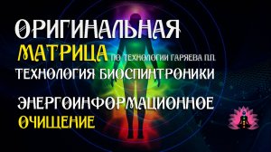 Энергоинформационное очищение ⚠️ Оригинальная матрица — технология биоспинтроники. ☀️ SoftRadio.ru