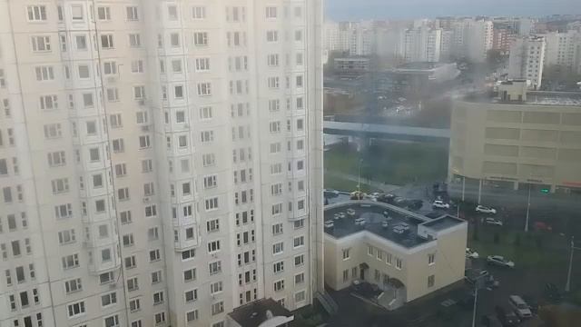 ЗМЕЯ СКОРПИЯ