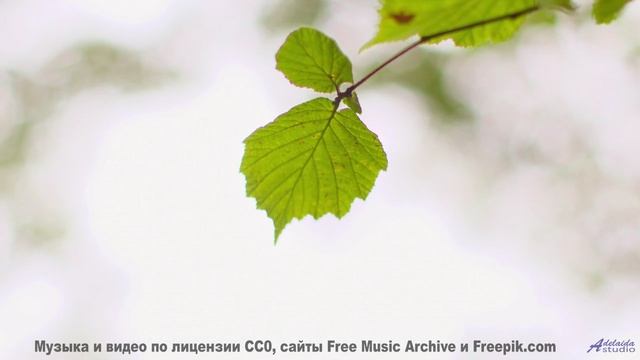 Эти пейзажи и музыка выносят мозг моментально - Chainlink Melody -- Podington Bear -- Said Lion To L