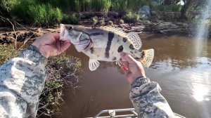 Ауха. Летом на зимние снасти!